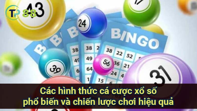 cac-hinh-thuc-ca-cuoc-xo-so-pho-bien-va-chien-luoc-choi-hieu-qua